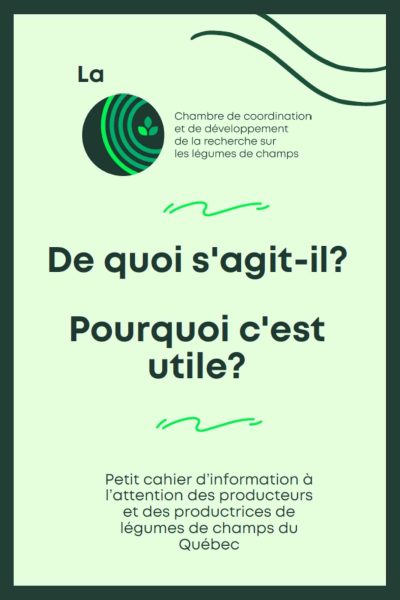 Création sans titre